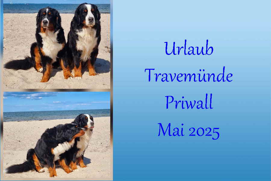 TADI-UKI-TRAVE-PRIWALL-0525