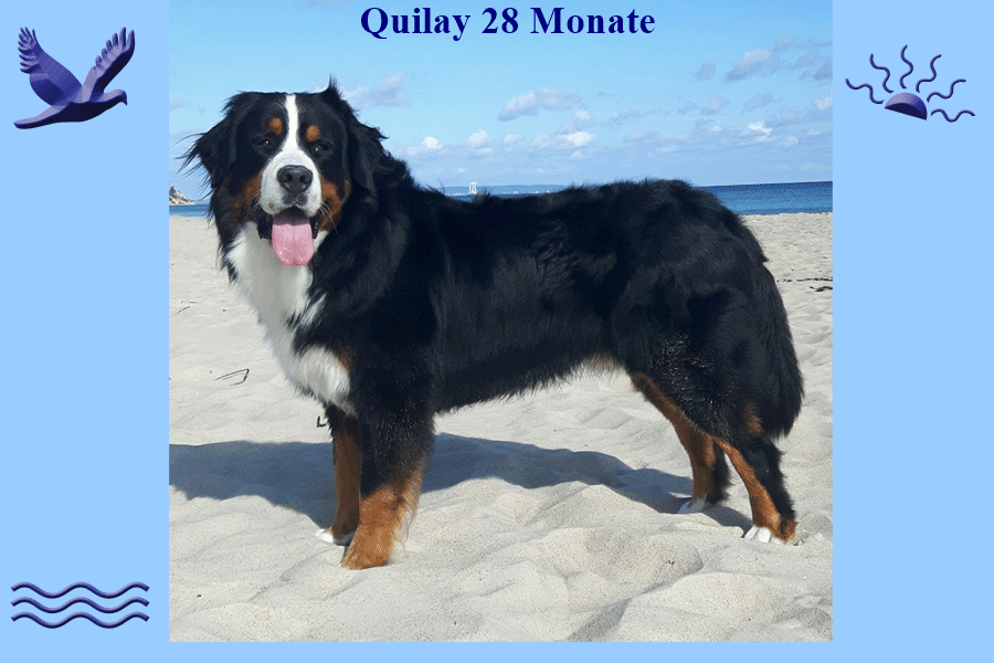 quilay-ostsee-17