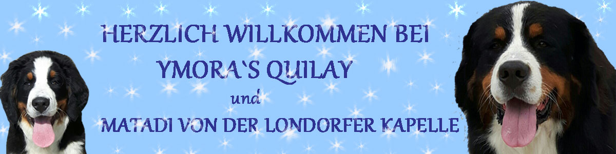 quilay-und-matadi-banner