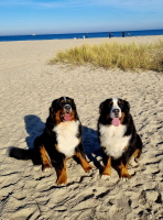 UCCAS & MATADI auf dem PRIWALL im November 2025