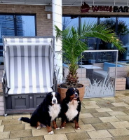 Matadi & Uccas Priwall November 2025