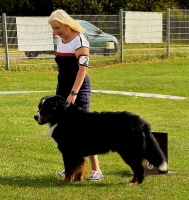 Uccas zur LG Schau Gotha 30.08.2026