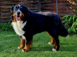 UCCAS 2 JAHRE
