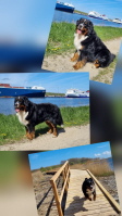Urlaub auf dem Priwall April 2026