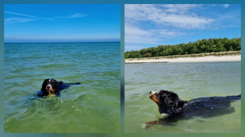 Schwimmen ist einfach toll, Uki  Zingst 06/2026