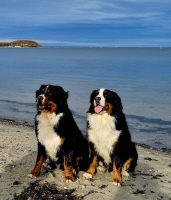 UCCAS & MATADI auf dem Priwall im November 2025