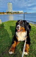 UCCAS Priwall November 2025